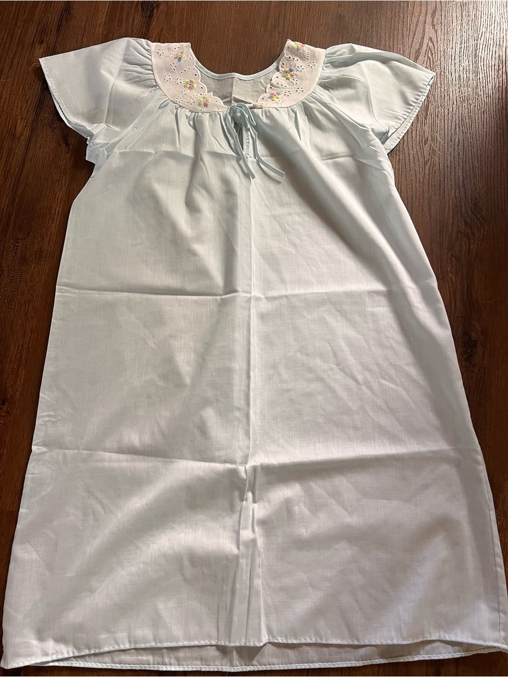 Vintage Sears Pale Blue Woman’s Nightgown with Embroidered Collar